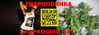 дживик Сланцы